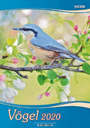 Vögel 2020 - 2 in 1-Wandkalender Vögel 2020 - 2 in 1-Wandkalender