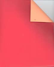 Secare Uni Matt rot/orange 919094 200m/50cm Secare Uni Matt rot/orange 919094 200m/50cm