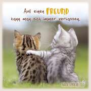 Metallschild - Katzenfreunde Metallschild - Katzenfreunde