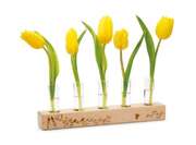 Blumen-und Gräservase mit 5 Glaseinsätzen Blumen-und Gräservase mit 5 Glaseinsätzen