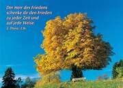 Postkarten Bunte Herbstbäume, 6 Stück