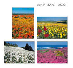 Postkartenserie Blumenwiesen, 12 Stück