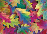 Faltkarten Herbstblätter, 5 Stück Faltkarten Herbstblätter, 5 Stück