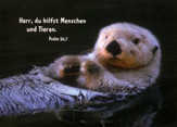 Postkartenserie Neutral - 12 Stück Postkartenserie Neutral - 12 Stück