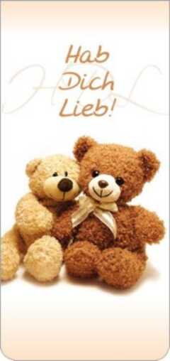 Magnetlesezeichen - "Hab dich lieb" Magnetlesezeichen - "Hab dich lieb"