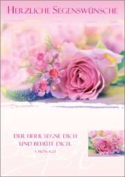 Postkartenserie Geburtstag - 12 Stück Postkartenserie Geburtstag - 12 Stück