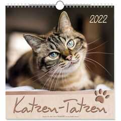 Katzen-Tatzen 2022