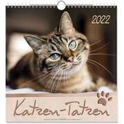 Katzen-Tatzen 2021 Katzen-Tatzen 2021