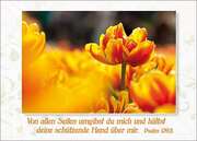 Postkarten Blumen, 6 Stück Postkarten Blumen, 6 Stück