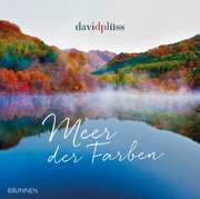 David Plüss - David Plüss - Meer der Farben Meer der Farben