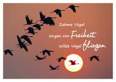 Zahme Vögel singen von Freiheit ... - Postkarte Zahme Vögel singen von Freiheit ... - Postkarte