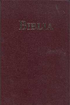 Bibel Rumänisch - rot