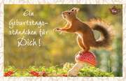 Tee-Postkarte - Ein Geburtstagsständchen für Dich! Tee-Postkarte - Ein Geburtstagsständchen für Dich!
